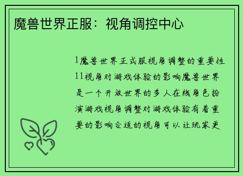 魔兽世界正服：视角调控中心